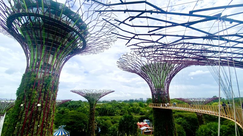Supertrees Singapur